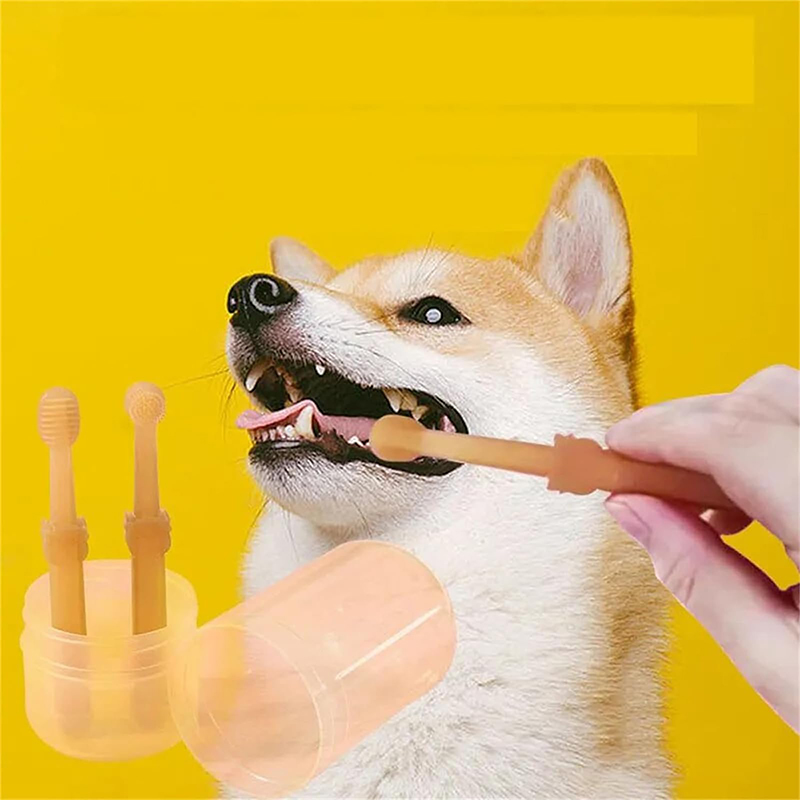 Набор для чистки зубов для соб – обзор и цена Teeth Whitening Toothbrush
